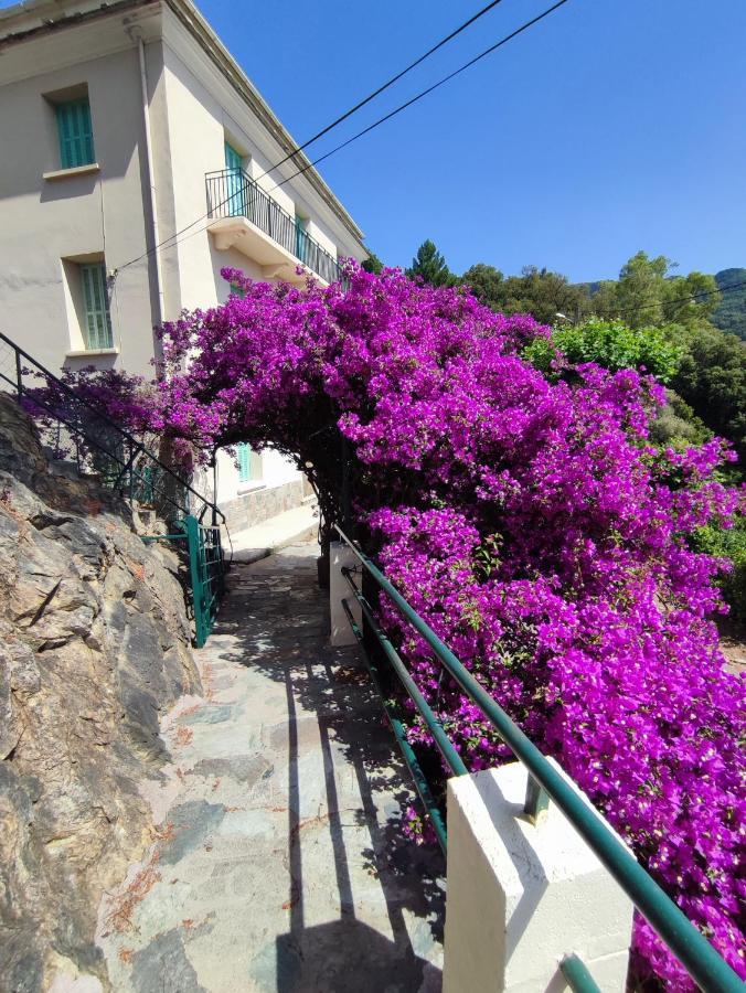 La Vallicella Farinole Екстериор снимка